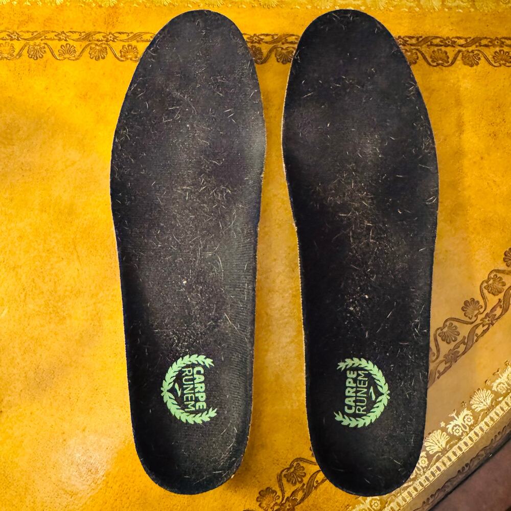 Brooks Cushion Running Sneakers Carpe Runem Insoles Womens 8.5